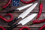 Set de cuțite profesionale de bucătărie Tojiro DP FT-032 – laminate din oțel VG10 » Lanternaputernica.RO